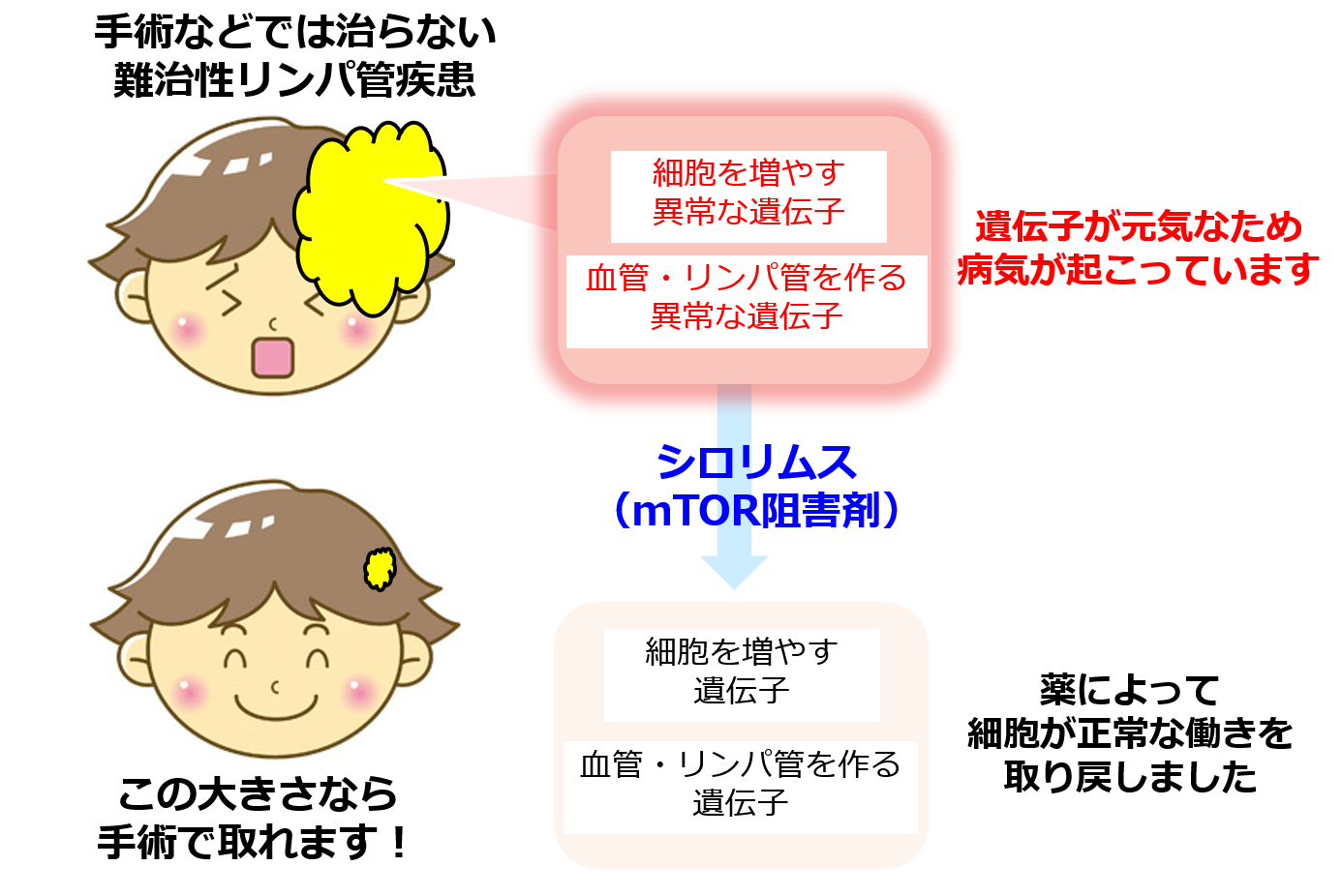 Lims 使い方 Lycee リセ SP 謎の少女 リムス Lims とは